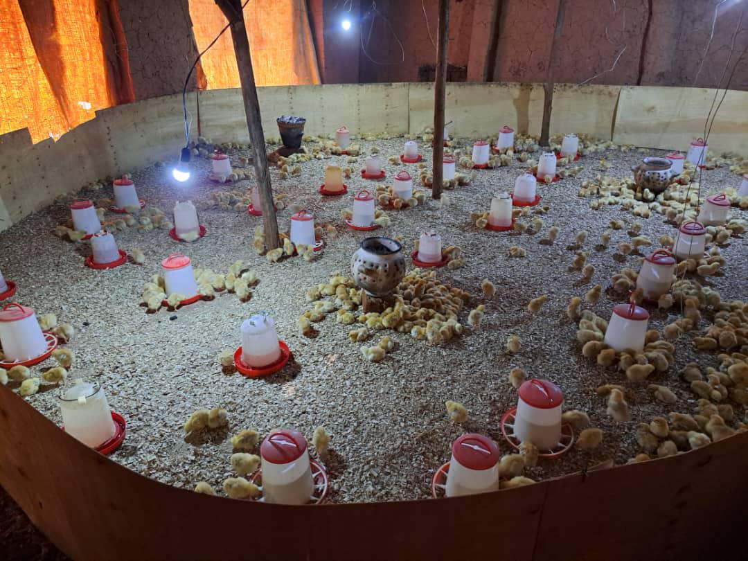 How Rwankuba cooperative in Karongi doubled its output