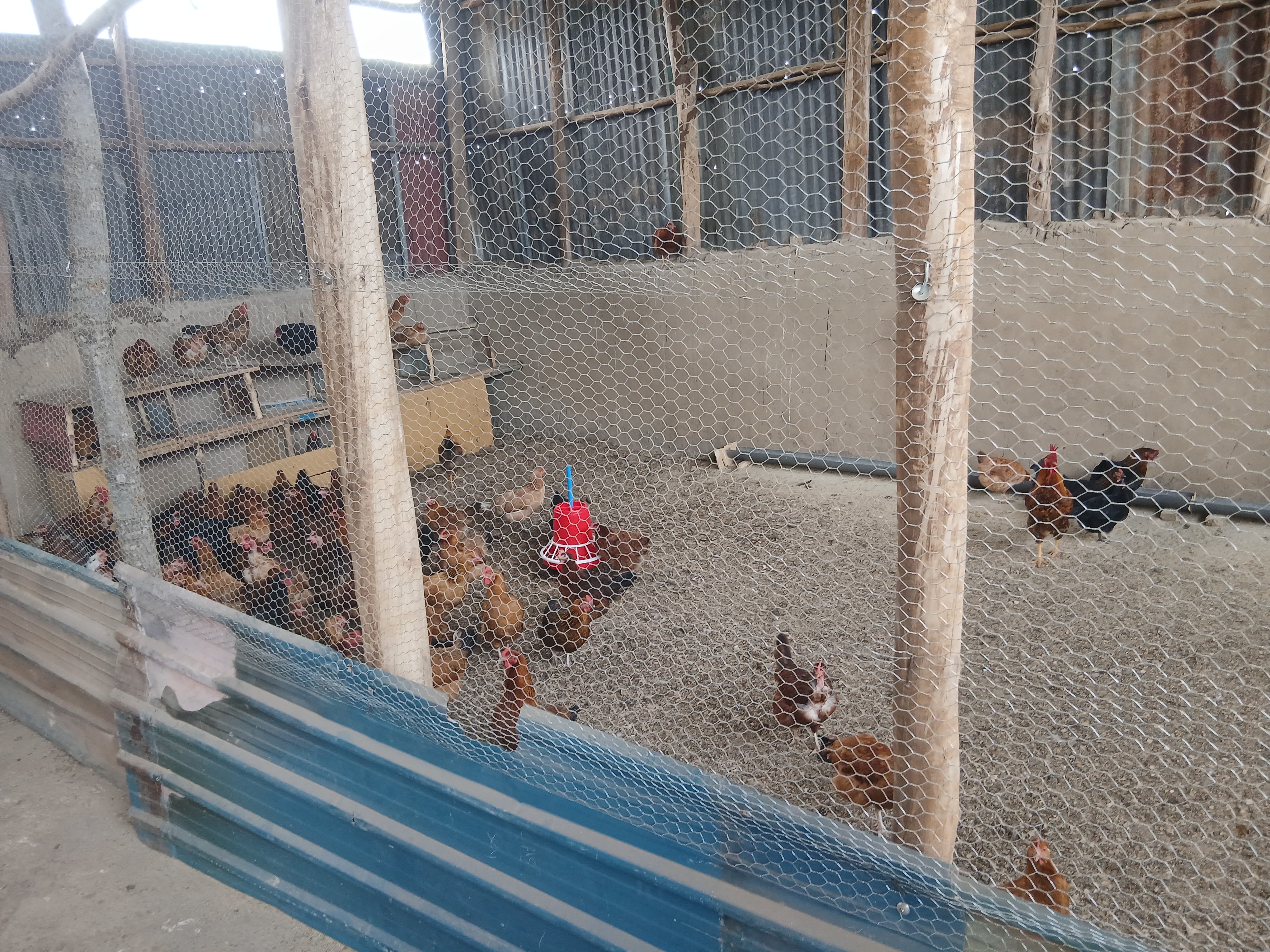 Turnkey Village Hatchery Hub Deployment